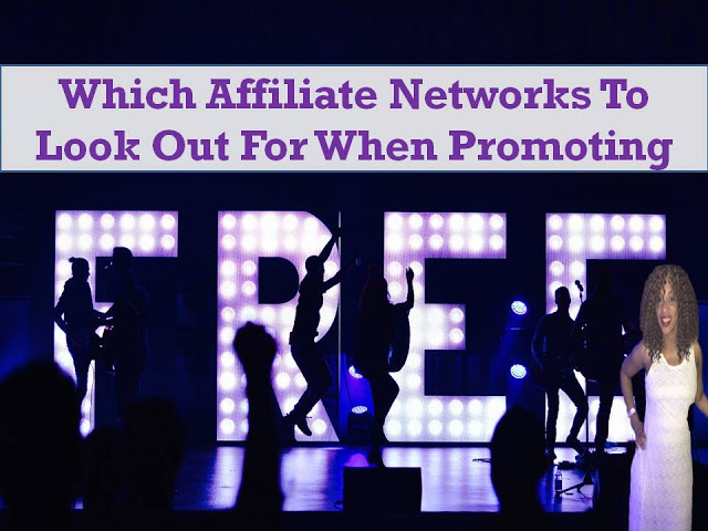 Which Affiliate Networks To Look For When Promoting
