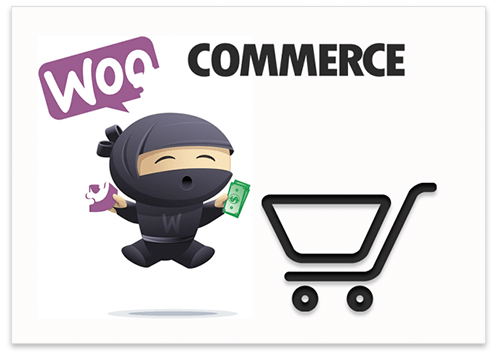 AliDropship Review - Best Wordpress Plugin for AliExpress Dropshipping Business 4 Woocommerce Integration with Ali Dropship WordPress Plugin