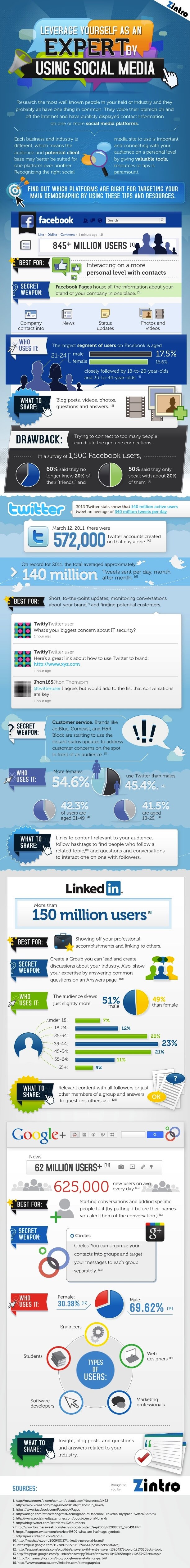 How to Leverage your Social Media Presence as an Expert? [INFOGRAPHIC]