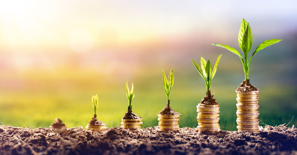 This Is Why This Year Will Be The Year Of Invest In Stock Market