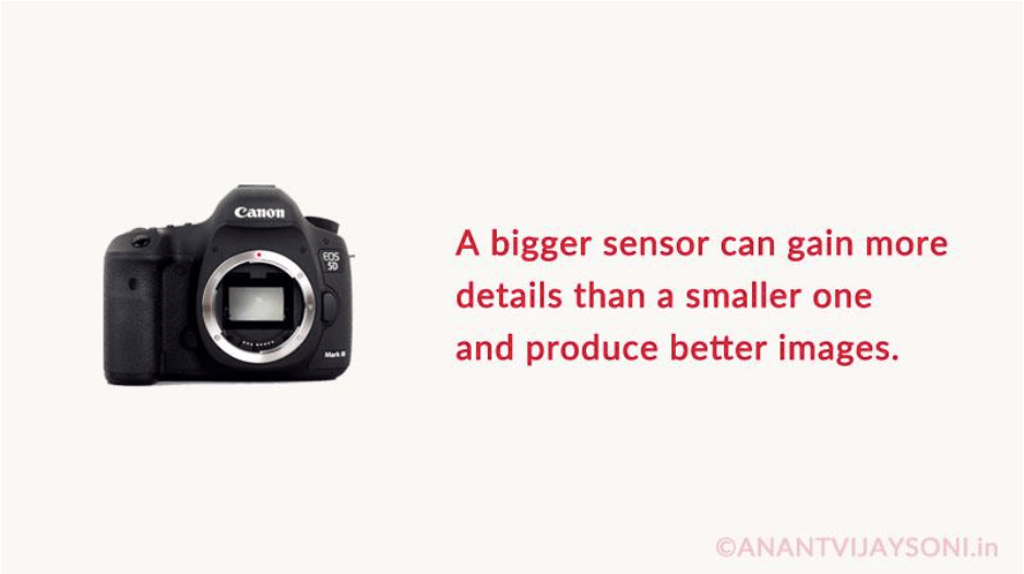 DSLR Camera - Sensor Type