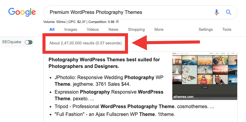 Google search for the term Premium WordPress Photography Themes