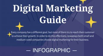 Efficient Digital Marketing Strategies (Infographic)