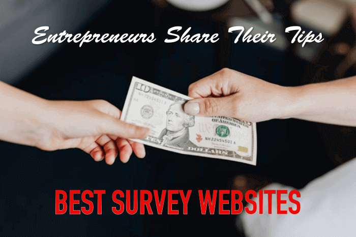 Entrepreneurs Share Their Tips How to Make Money 17 Best Survey Sites