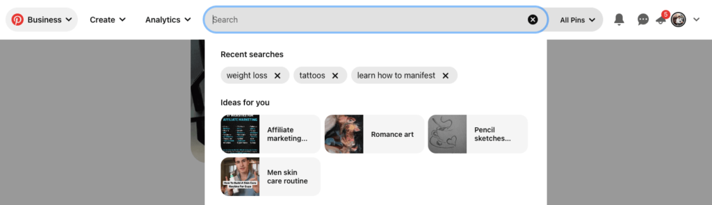 Pinterest Search Bar